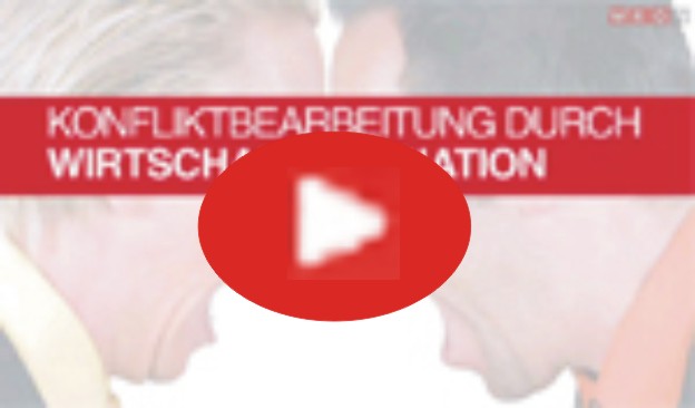 Wirtschaftsmediation (mp4)